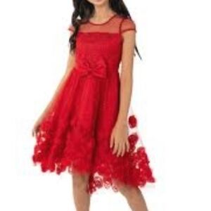 Rare Editions Red Christmas Holiday Concert Dress Girls 7 Rosette Sheer Tulle